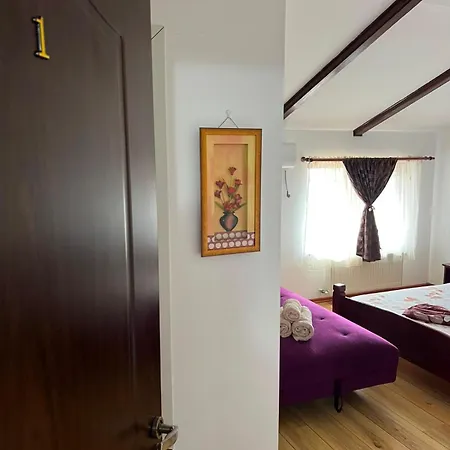 Casa Dyny 3* Două Mai