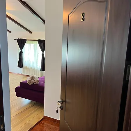 Casa Dyny Pensión Două Mai